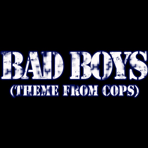Bad Boys (Theme from Cops) - Single album cover