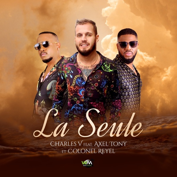 La Seule (feat. Axel Tony & Colonel Reyel) - Single album cover