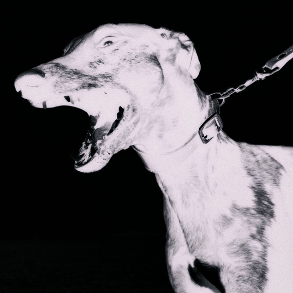 Degenerate Inanimate - Single album cover