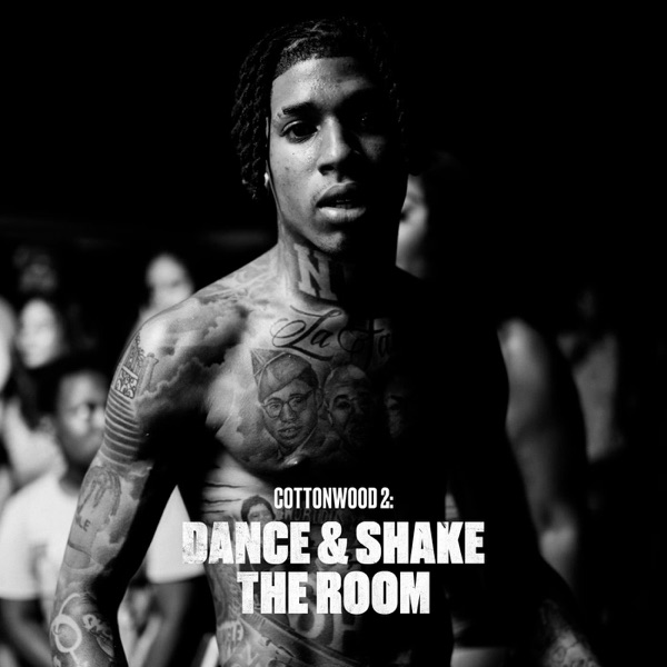 Cottonwood 2: DANCE & SHAKE the ROOM - EP album cover