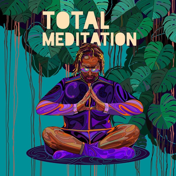 Total Meditation album cover