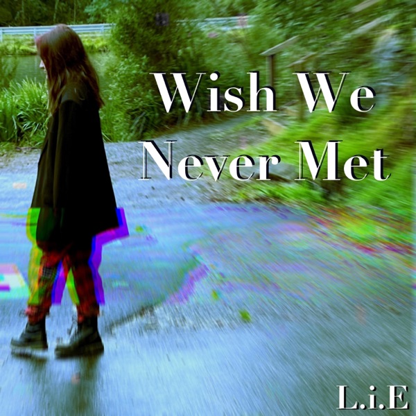 Wish We Never Met - Single album cover