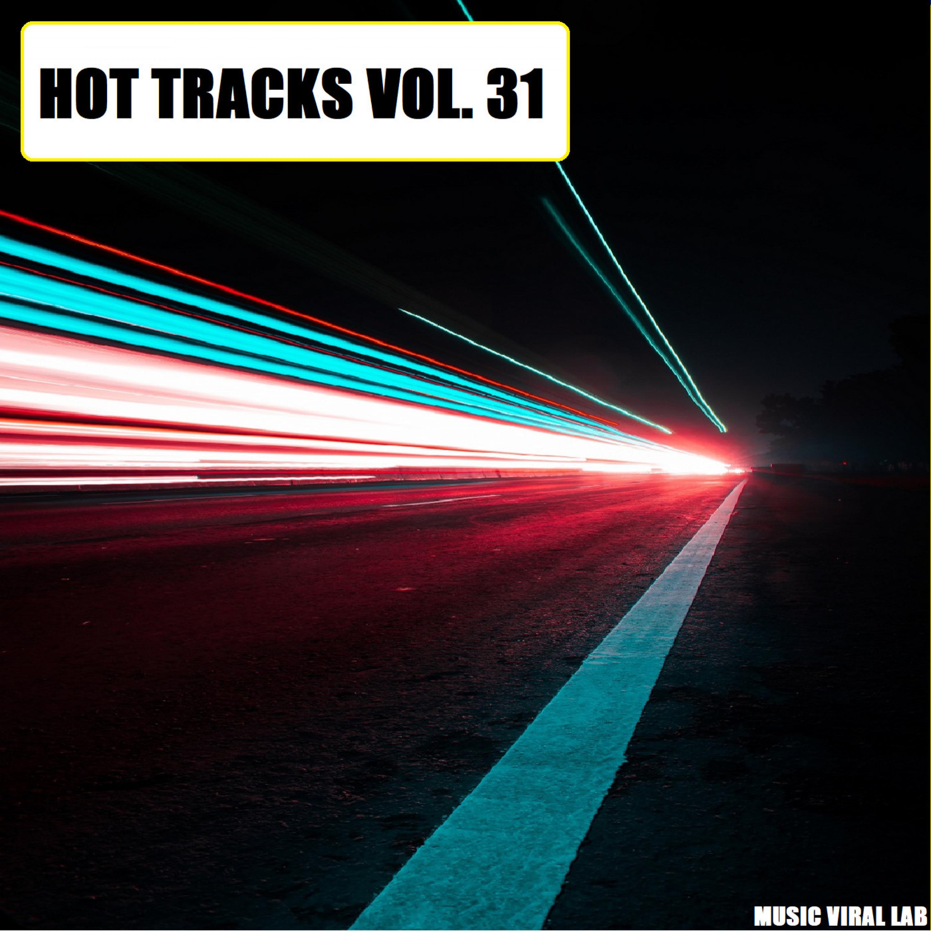 Hot Tracks Vol. 31 album cover