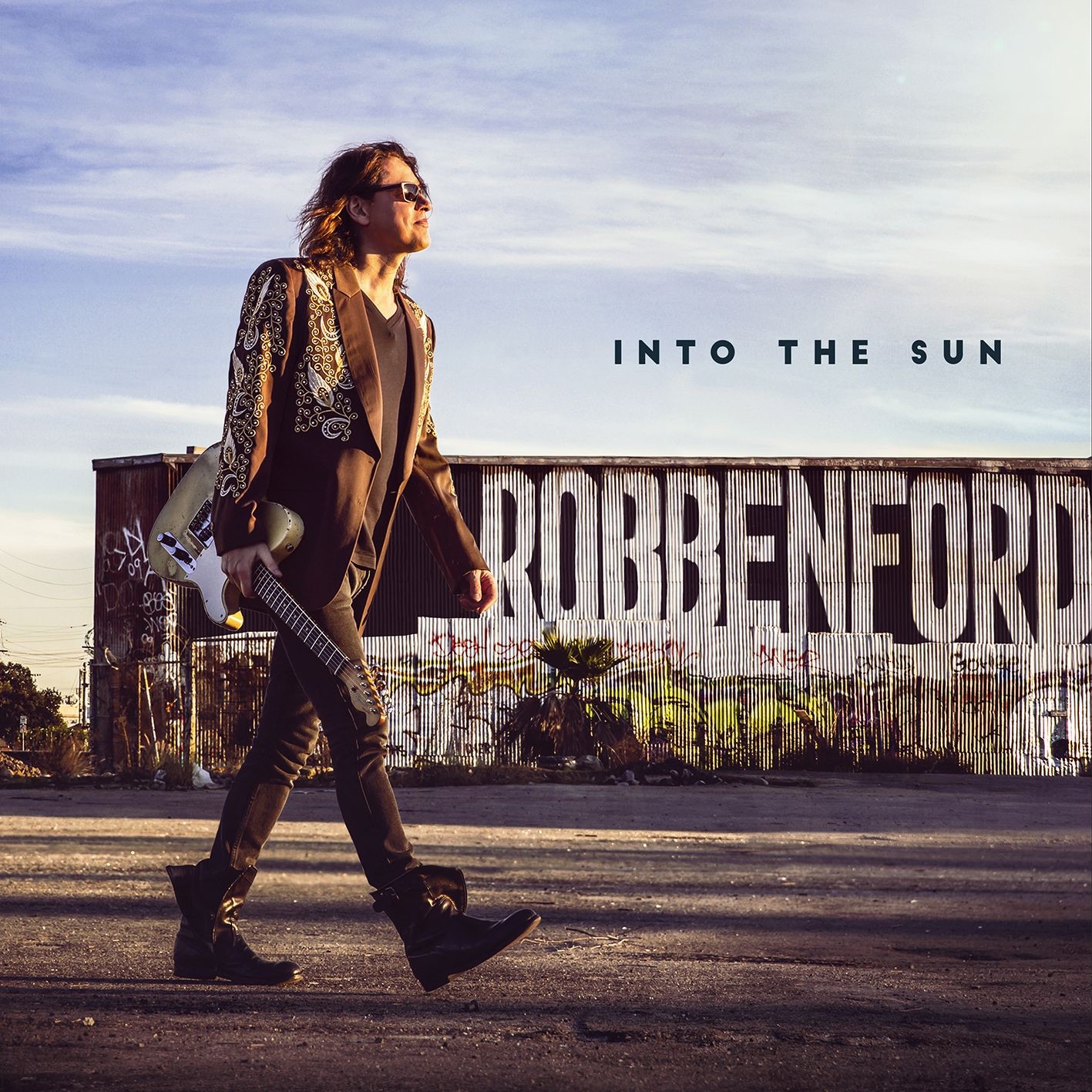 Into the Sun album cover