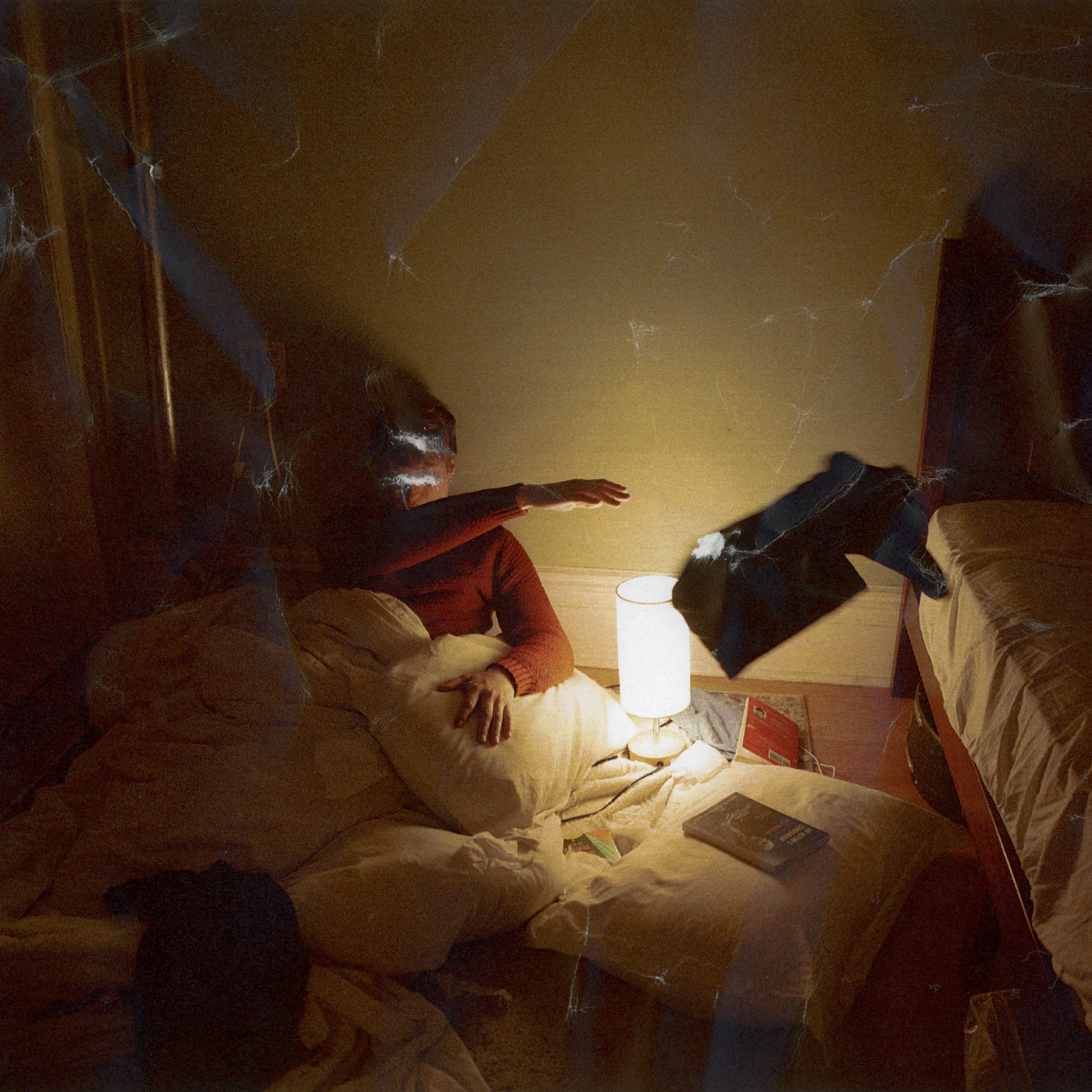 rotted out with flies - Single album cover