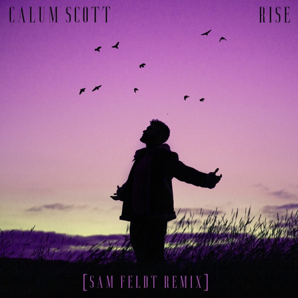 Rise (Sam Feldt Remix) - Single album cover