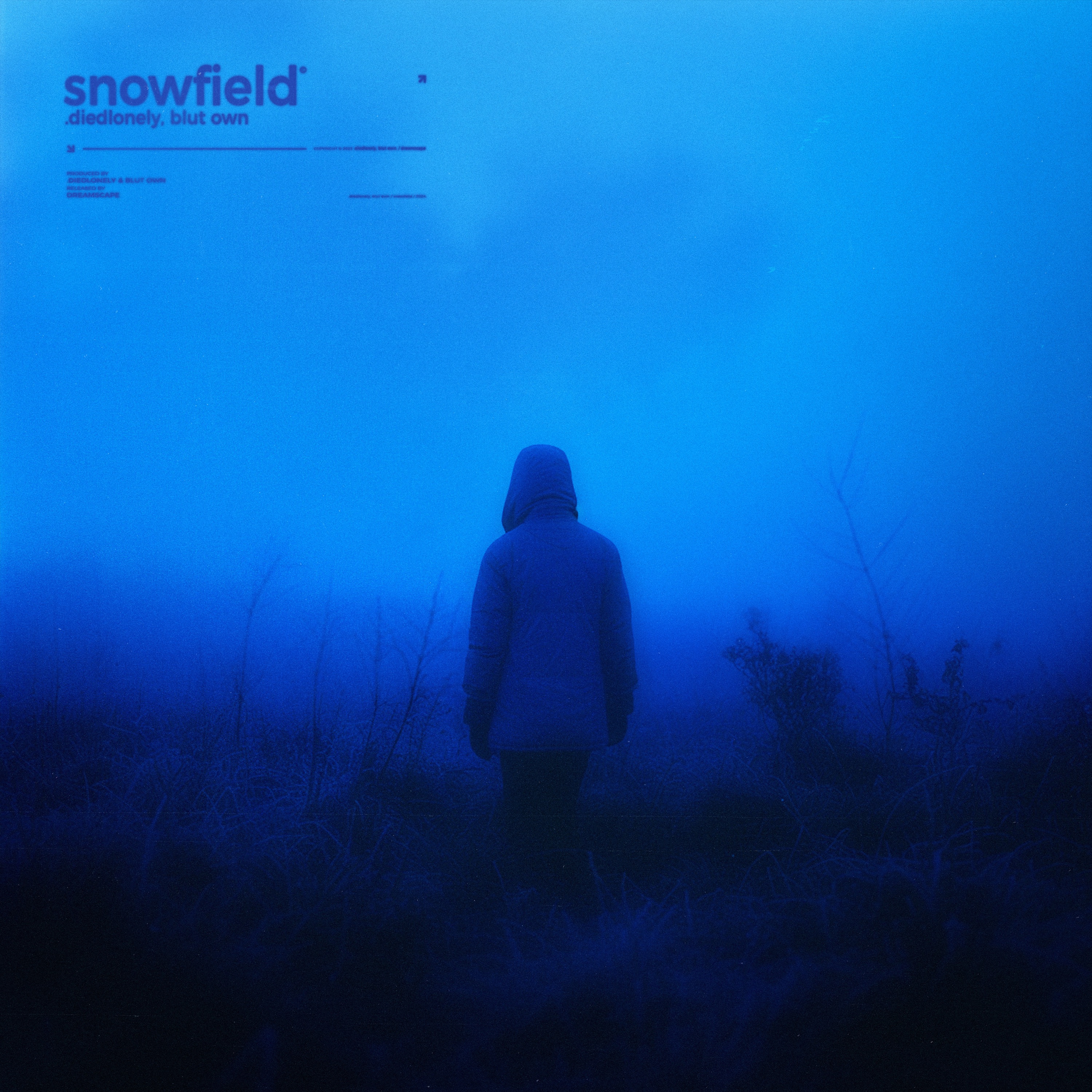 Snowfield - Single album cover
