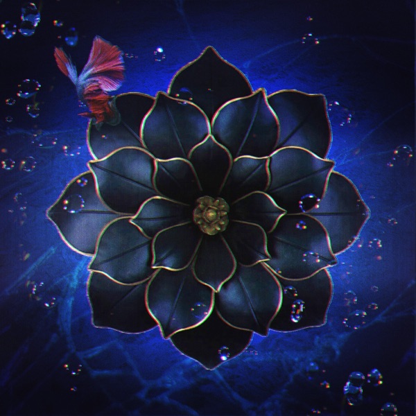 Attention (Vesta Remix) - Single album cover