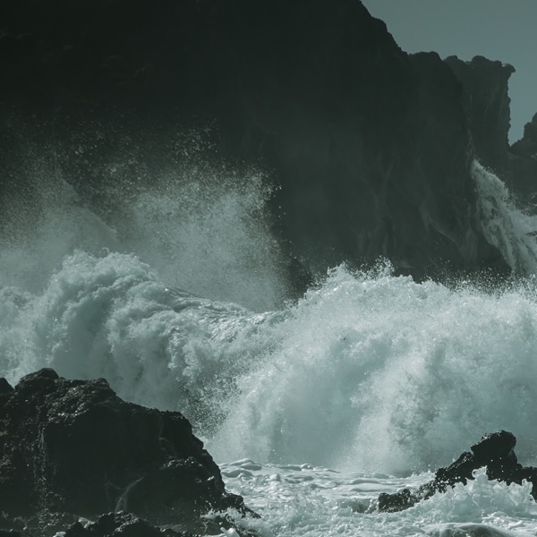 The Reef - Single album cover