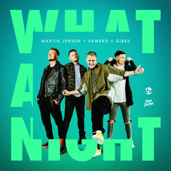 What a Night - Single album cover