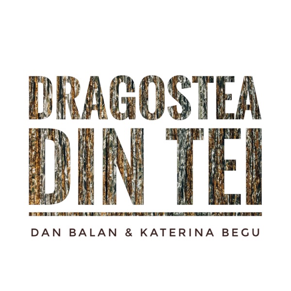 Dragostea Din Tei (feat. Katerina Begu) - Single album cover