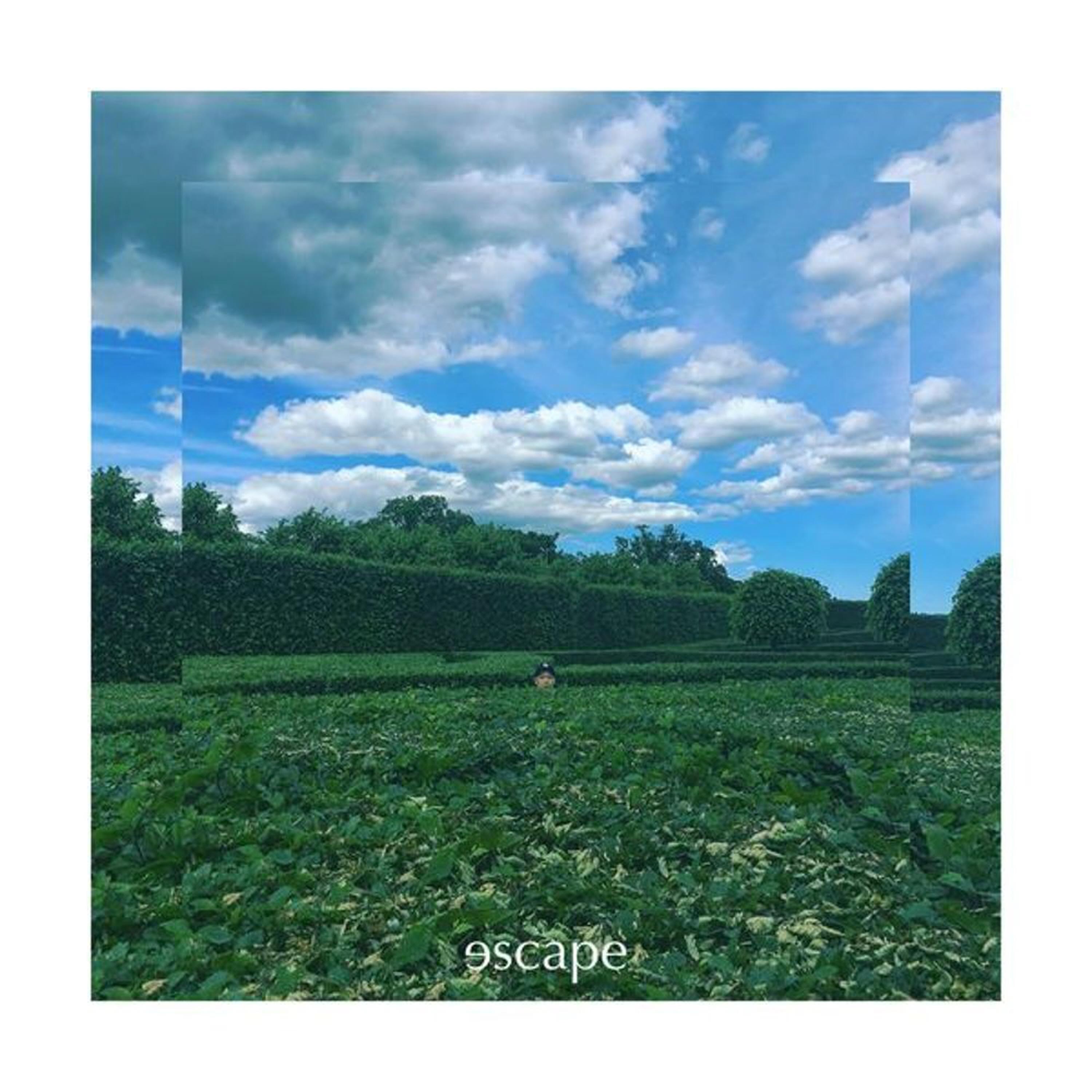 Escape - Single album cover