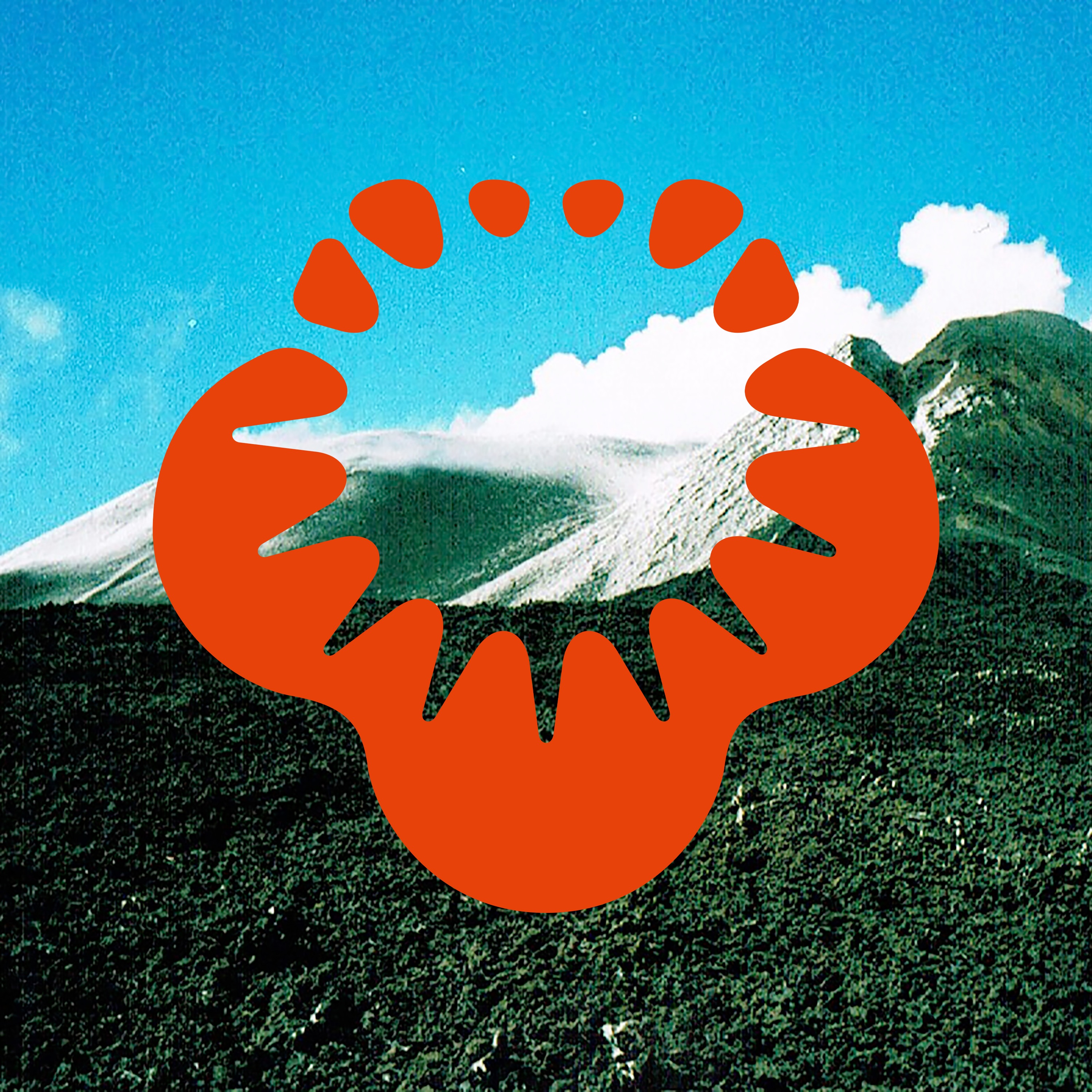 Neither Curve Nor Edge - EP album cover