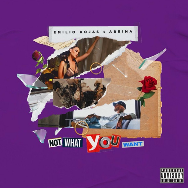 Not What You Want (feat. Abrina) - Single album cover