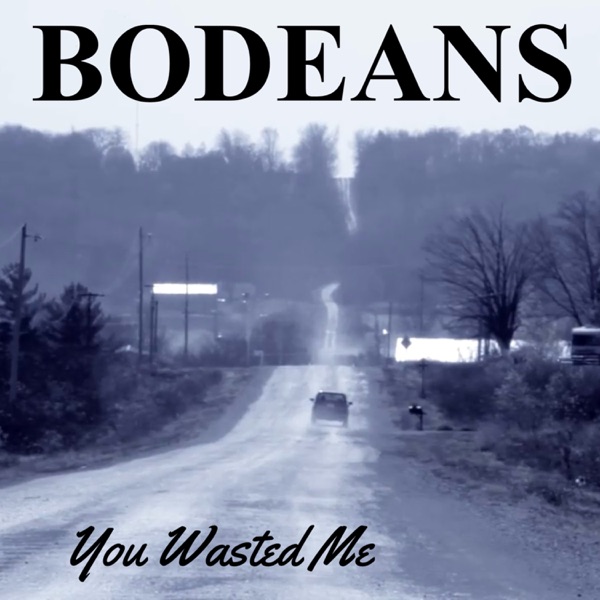 You Wasted Me - Single album cover