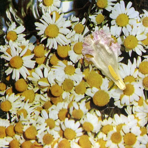 Perfume - Single album cover