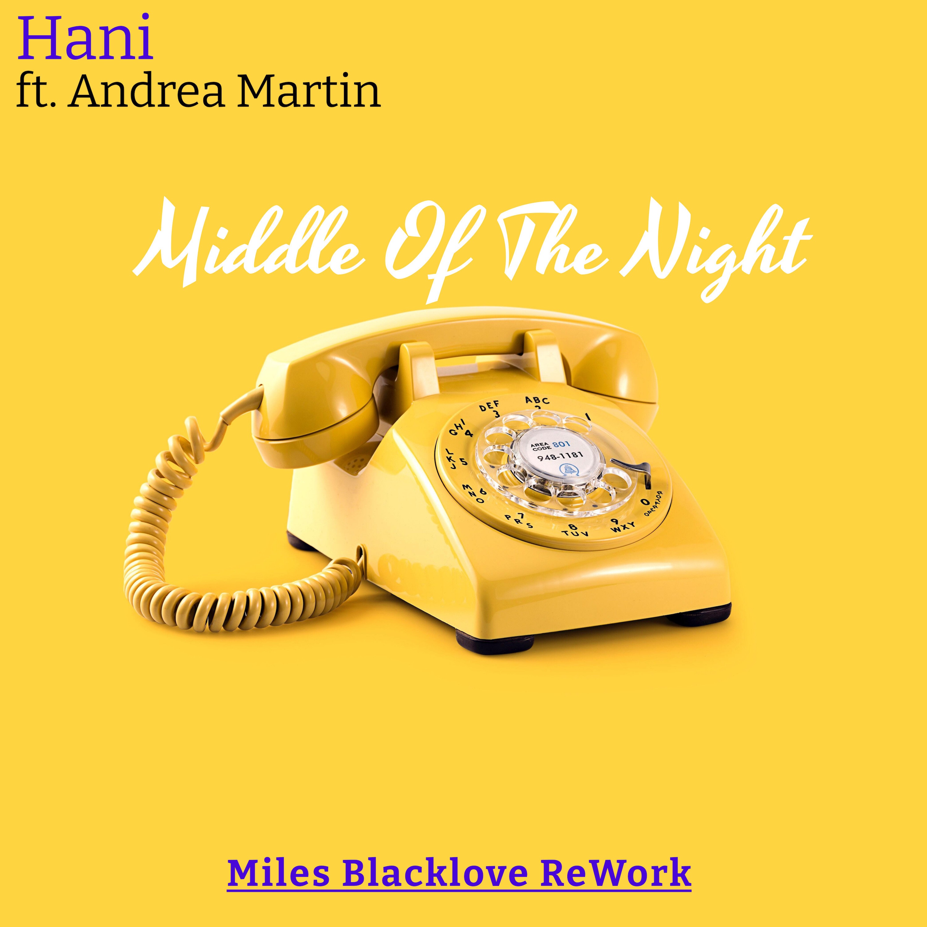 Middle of the Night (Miles Blacklove Amapiano ReWork) album cover