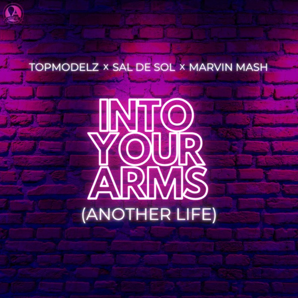 Into Your Arms (Another Life) - Single album cover