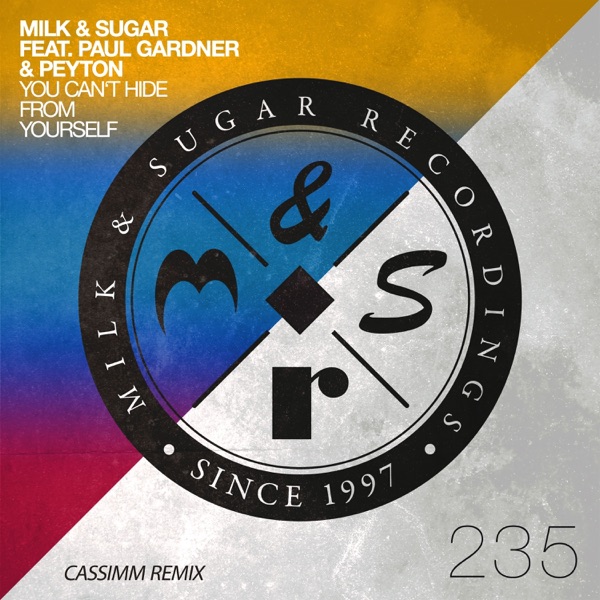 You Can't Hide from Yourself (feat. Paul Gardner & Peyton) [CASSIMM Remix] - Single album cover