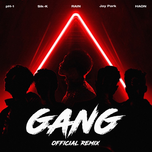 GANG (Official Remix) - Single album cover