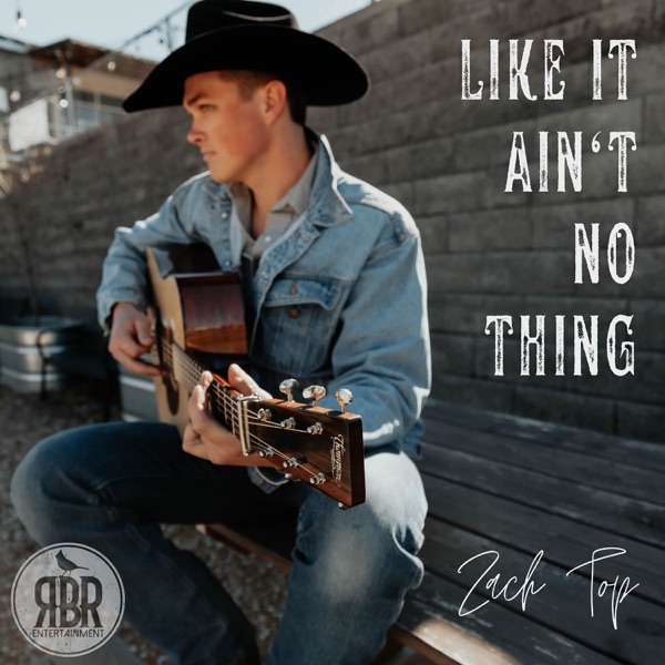 Like It Ain't No Thing - Single album cover