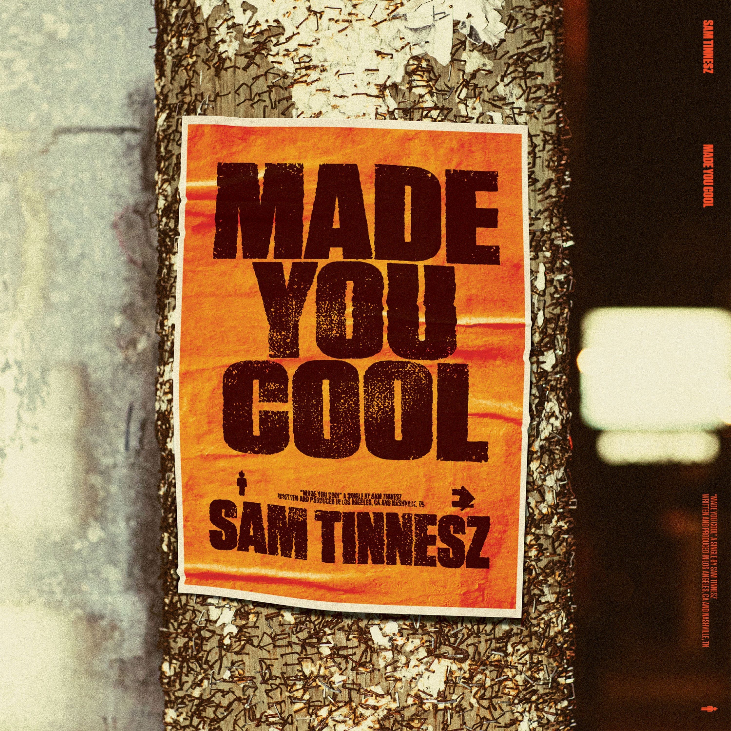 Made You Cool - Single album cover