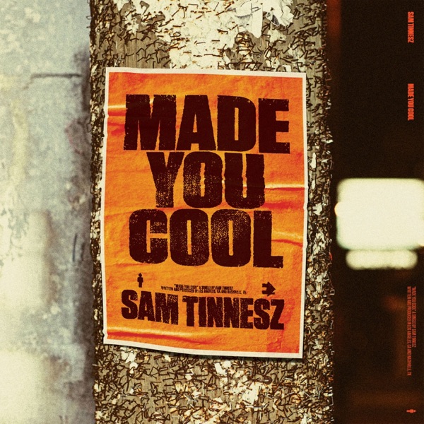 Made You Cool - Single album cover