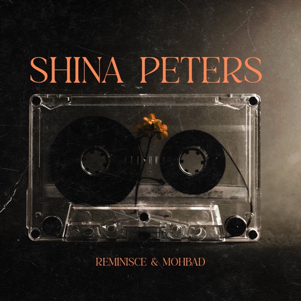 Shina Peters - Single album cover