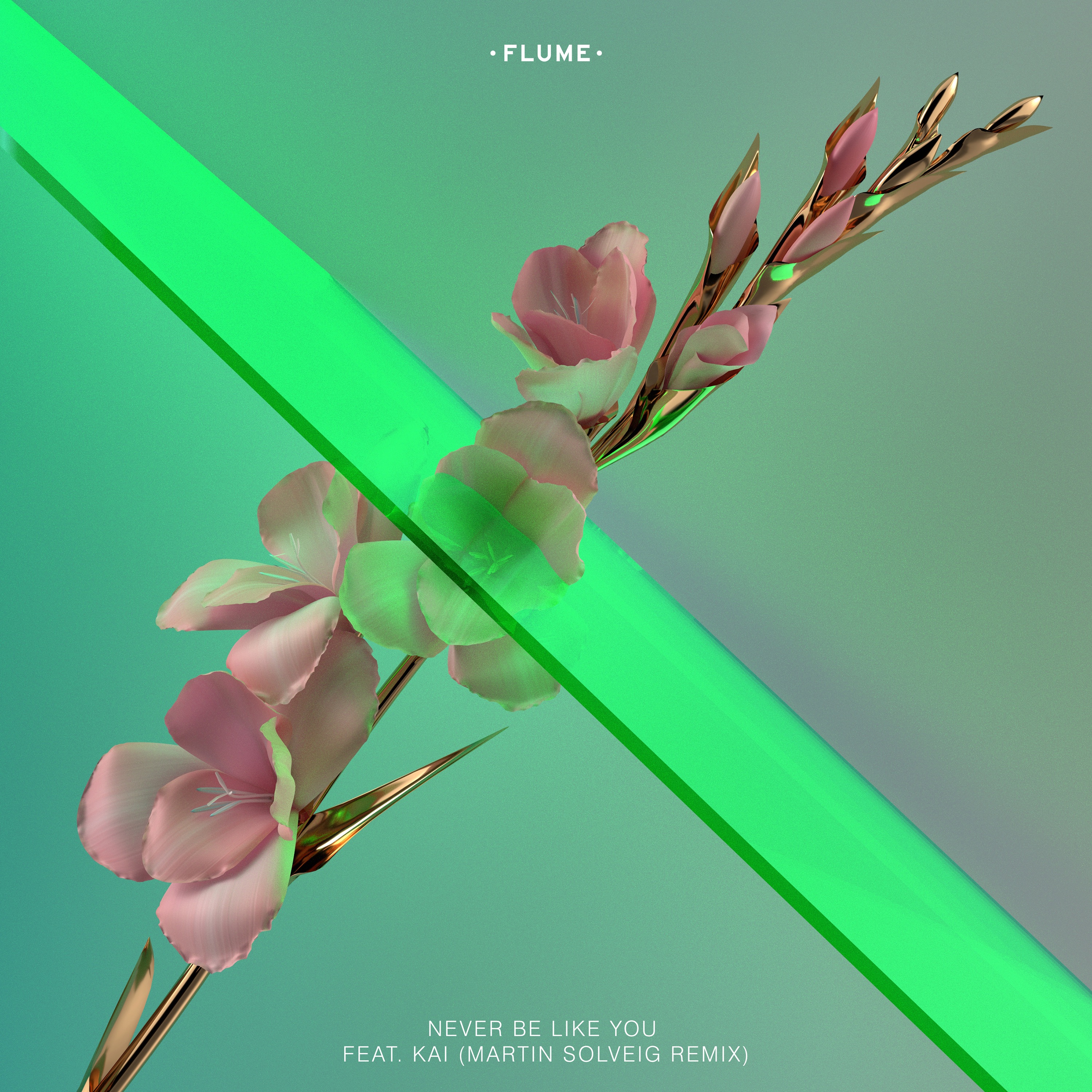 Never Be Like You (Martin Solveig Remix) [feat. KAI] - Single album cover