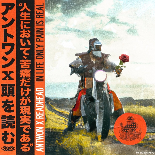 In Life Only Pain Is Real album cover