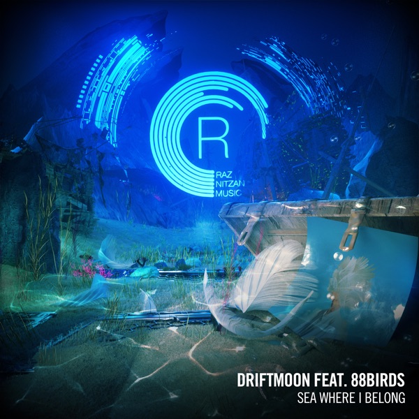 Sea Where I Belong (feat. 88Birds) - Single album cover