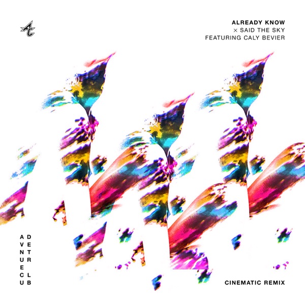 Already Know (Cinematic Remix) [feat. Caly Bevier] - Single album cover