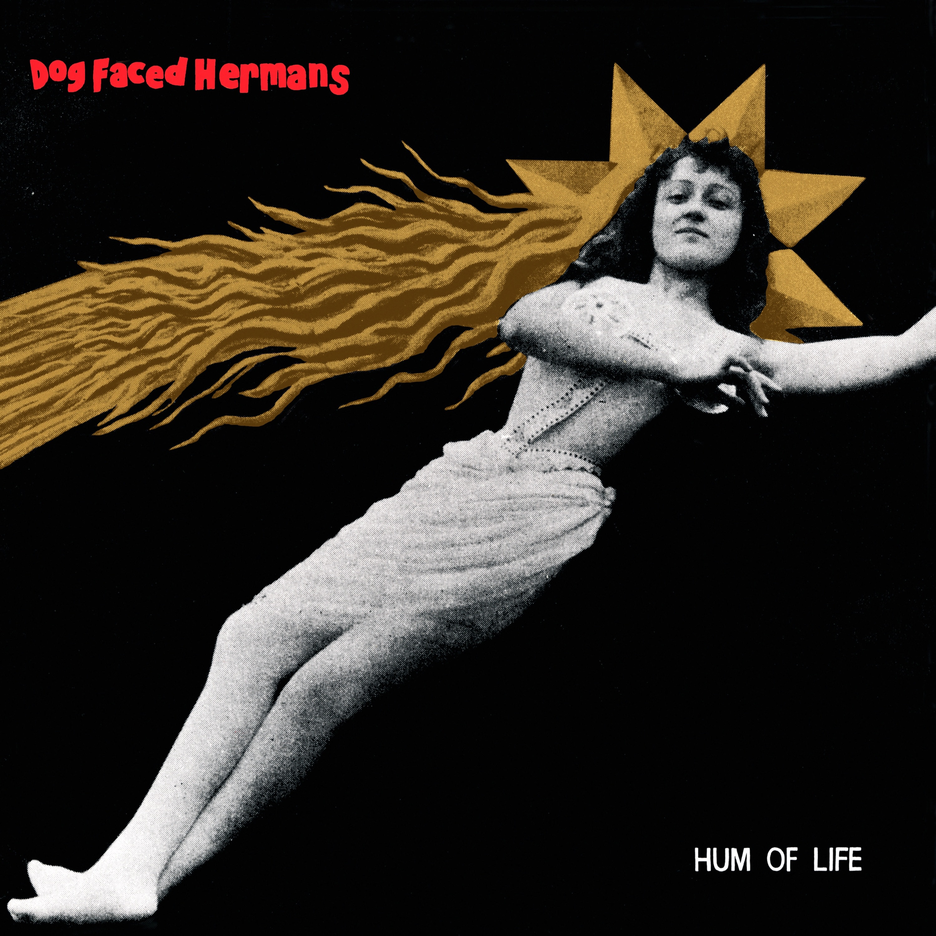 Hum of Life album cover