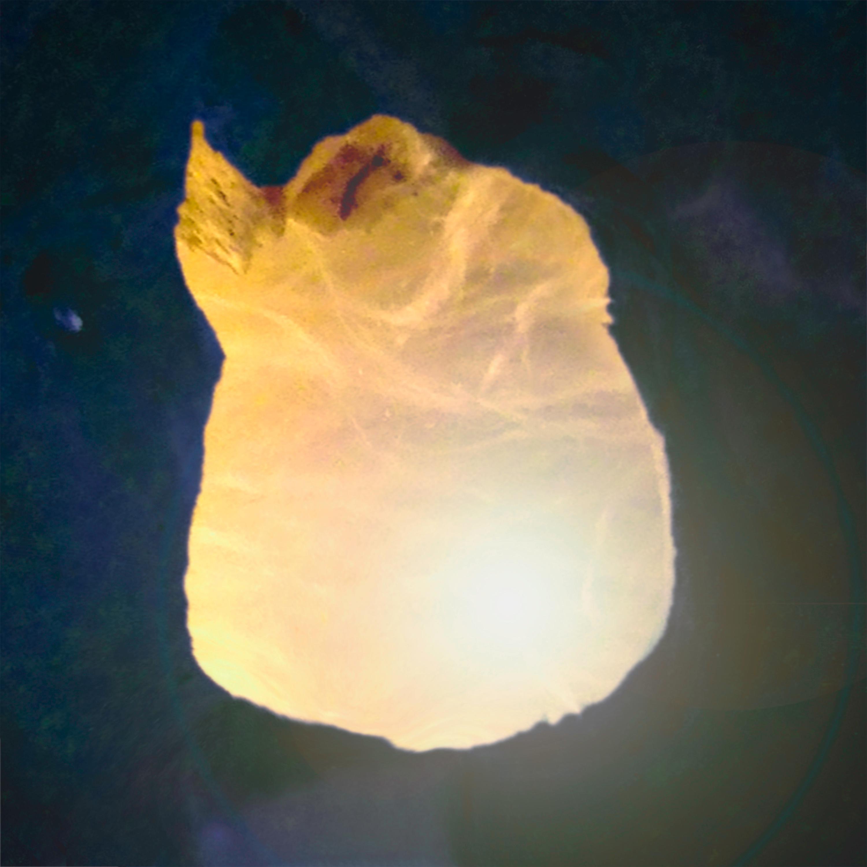 Nobody Hurt - Single album cover