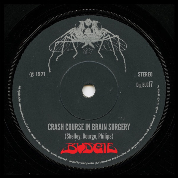 Crash Course In Brain Surgery (2013 Remaster) - Single album cover
