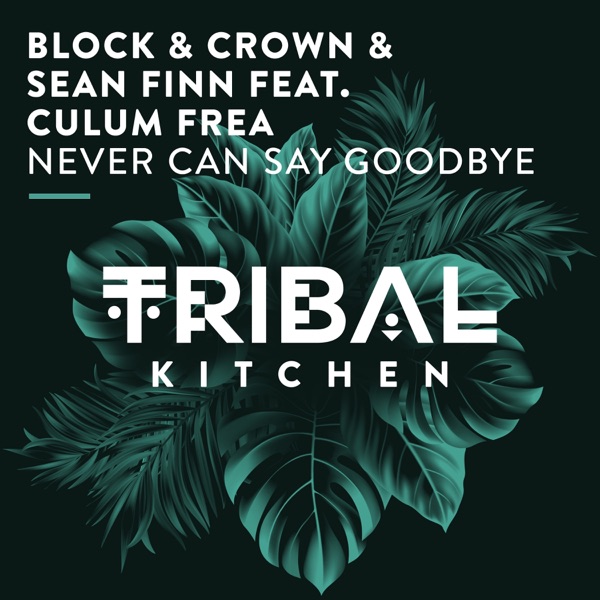 Never Can Say Goodbye (feat. Culum Frea) [Radio Edit] - Single album cover