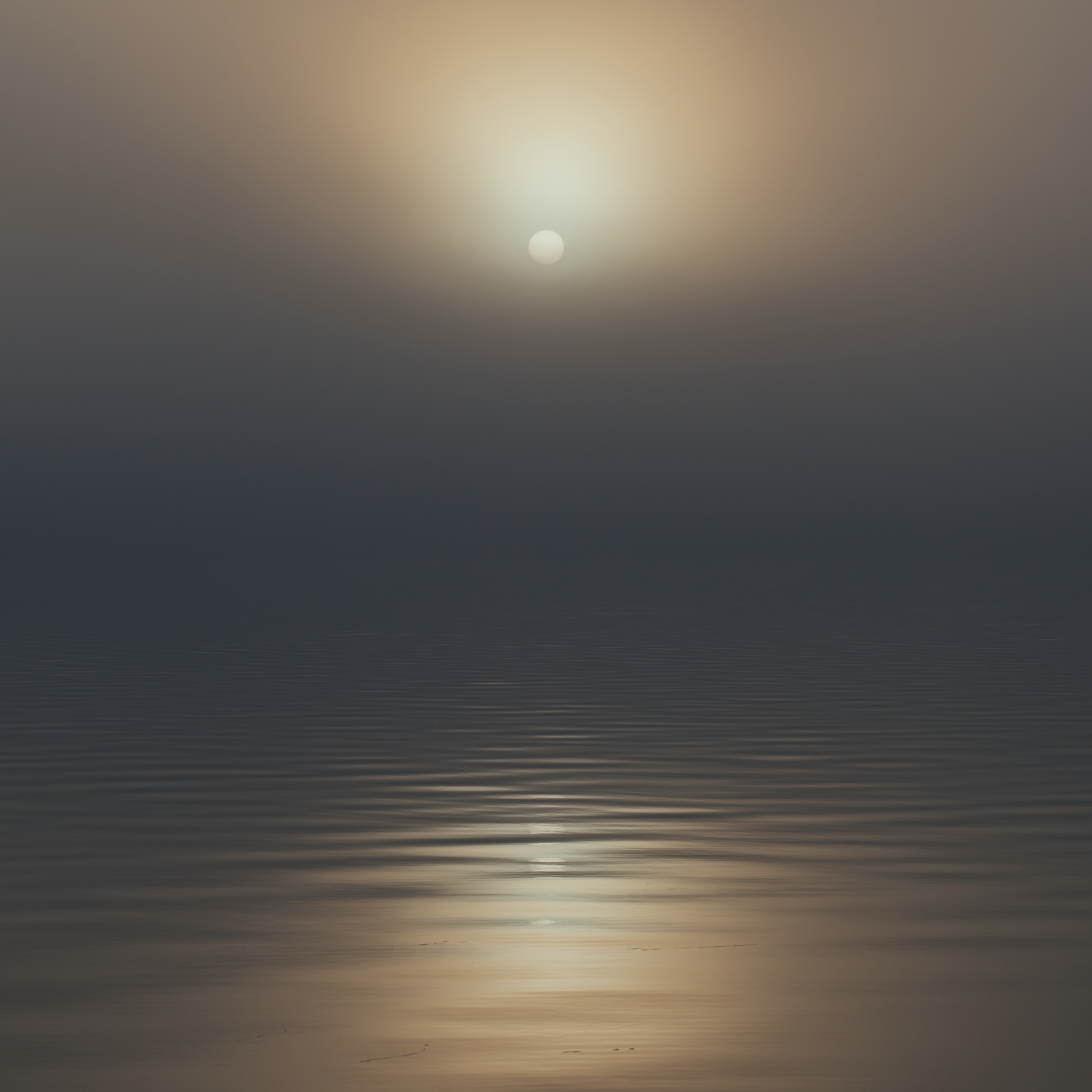 Pale Sun album cover