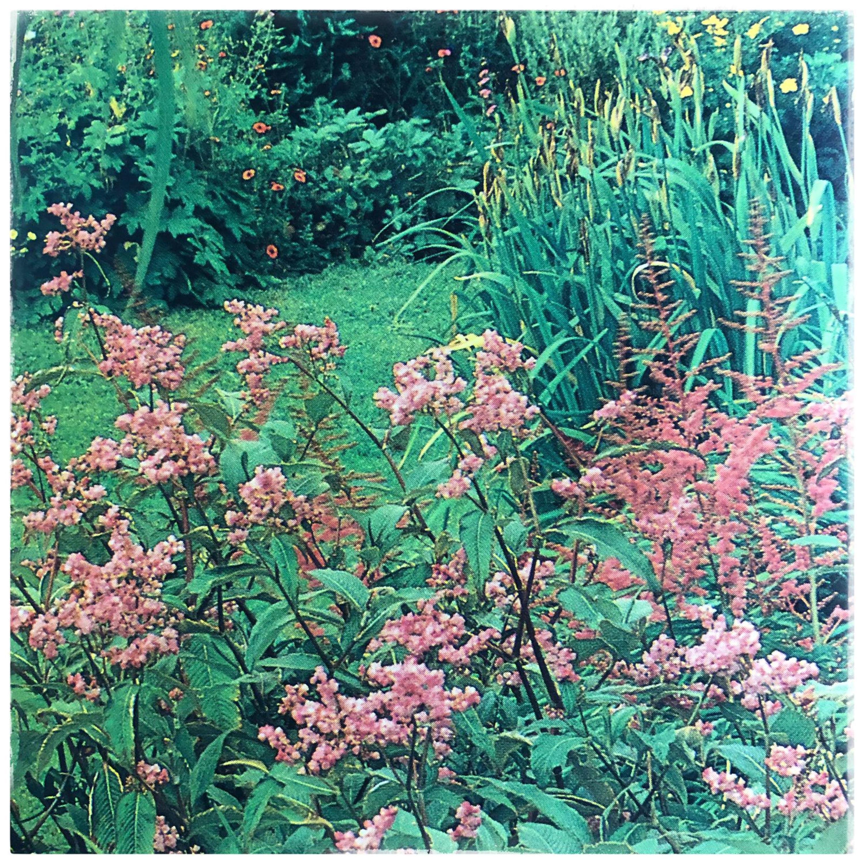 Delight - Single album cover