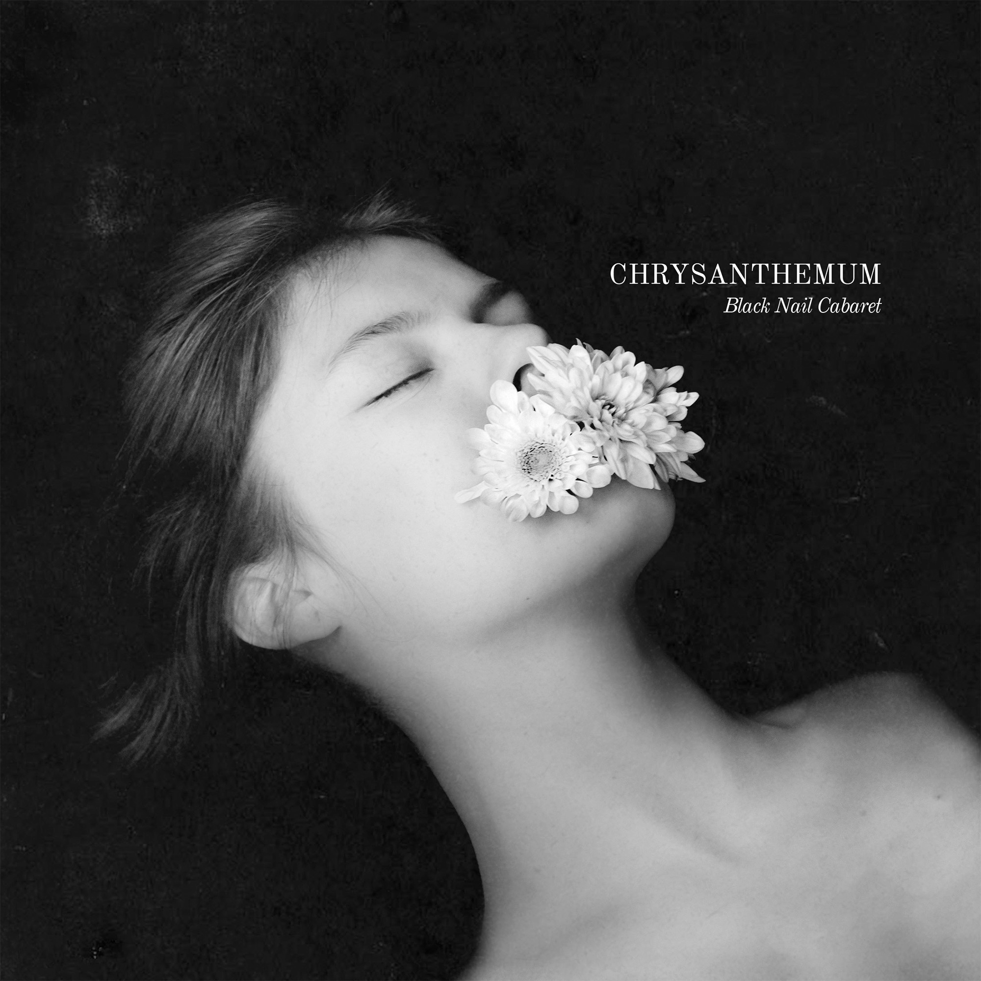 Chrysanthemum album cover