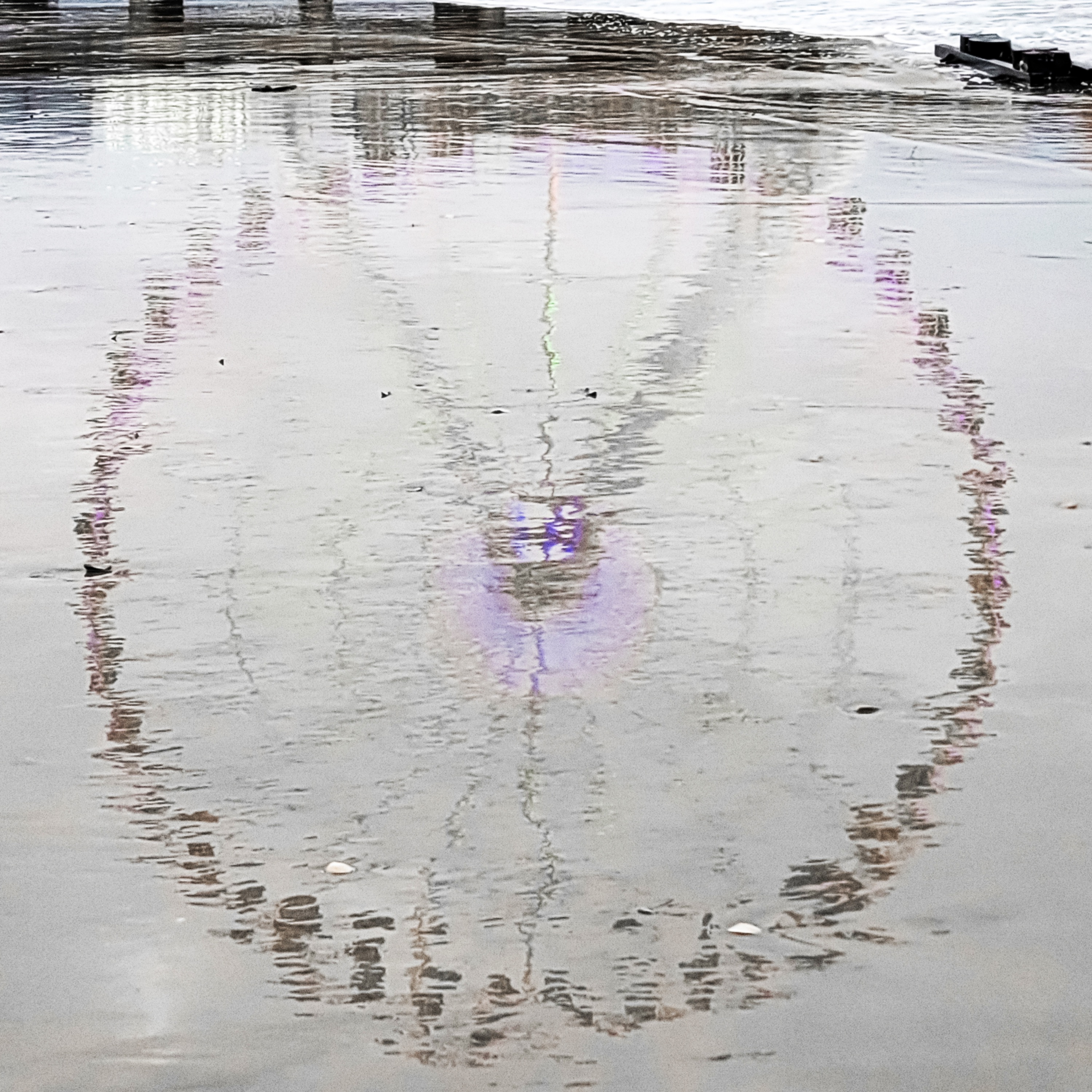 Tusko - Single album cover