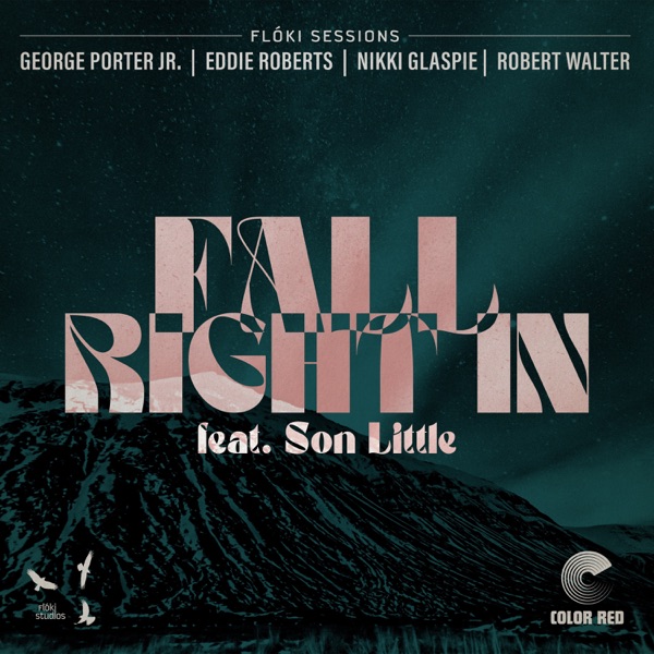 Fall Right In (feat. Son Little, Nikki Glaspie & Robert Walter) - Single album cover