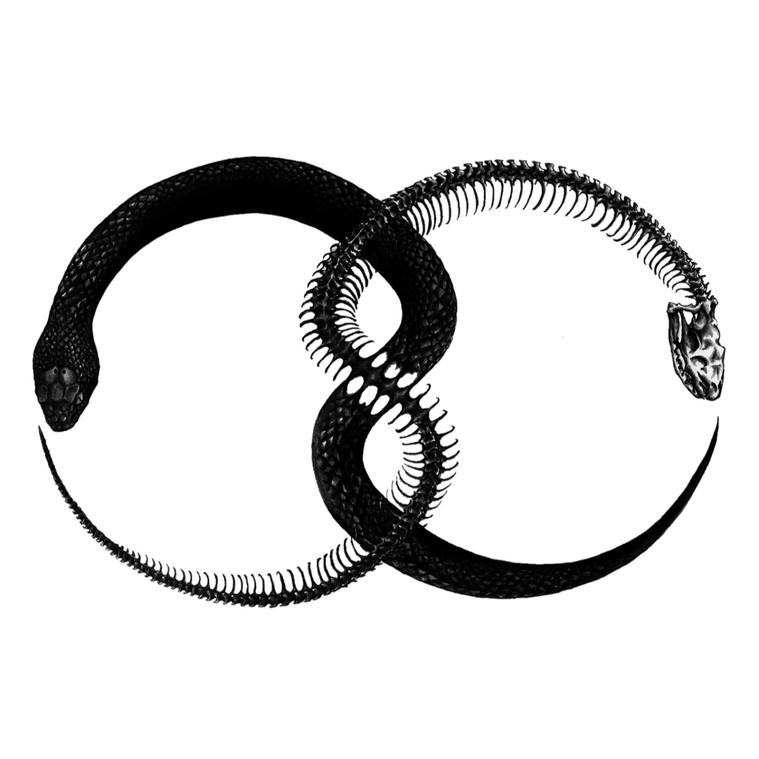 Not Gonna Fall For You (feat. Sorry X) - Single album cover