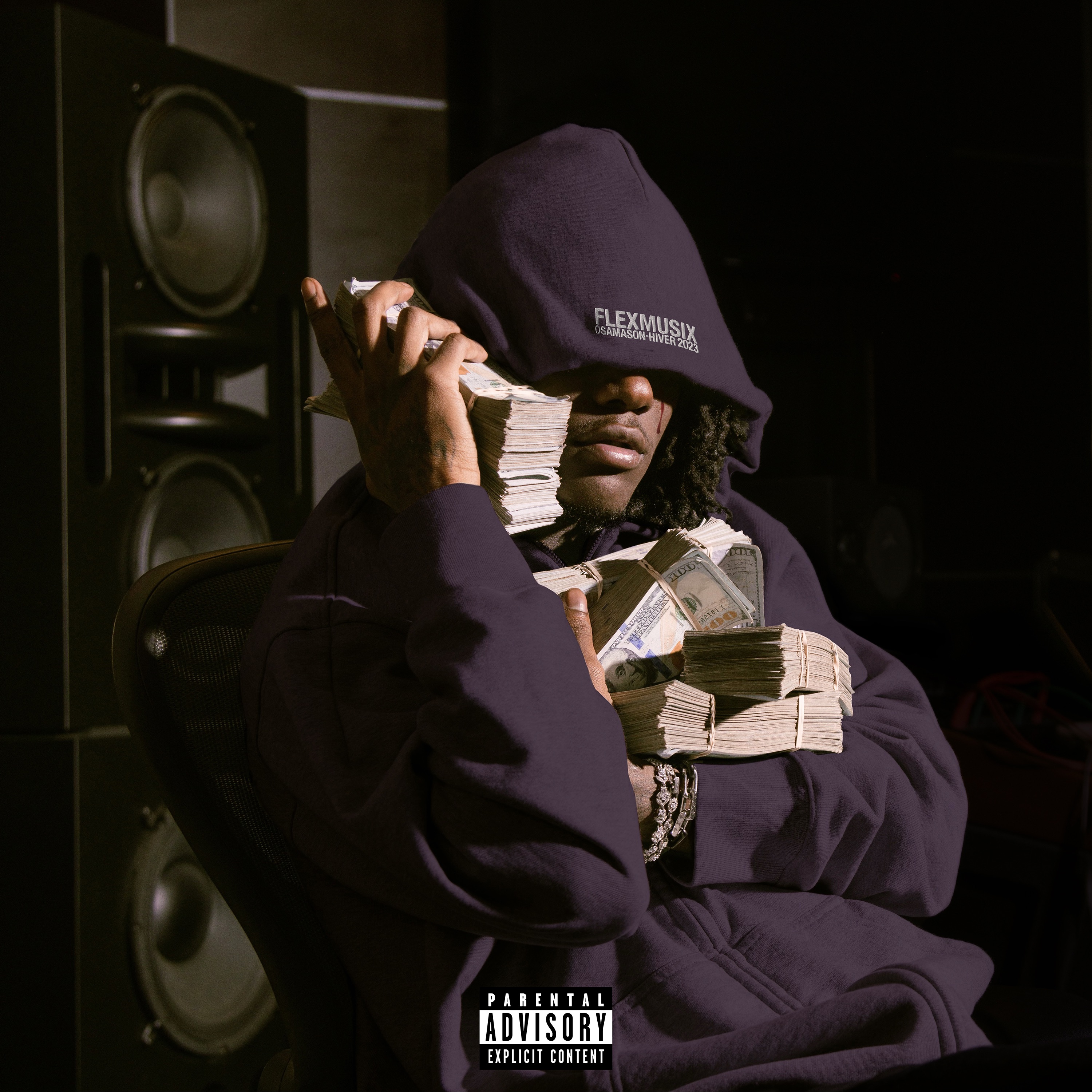 Flex Musix album cover