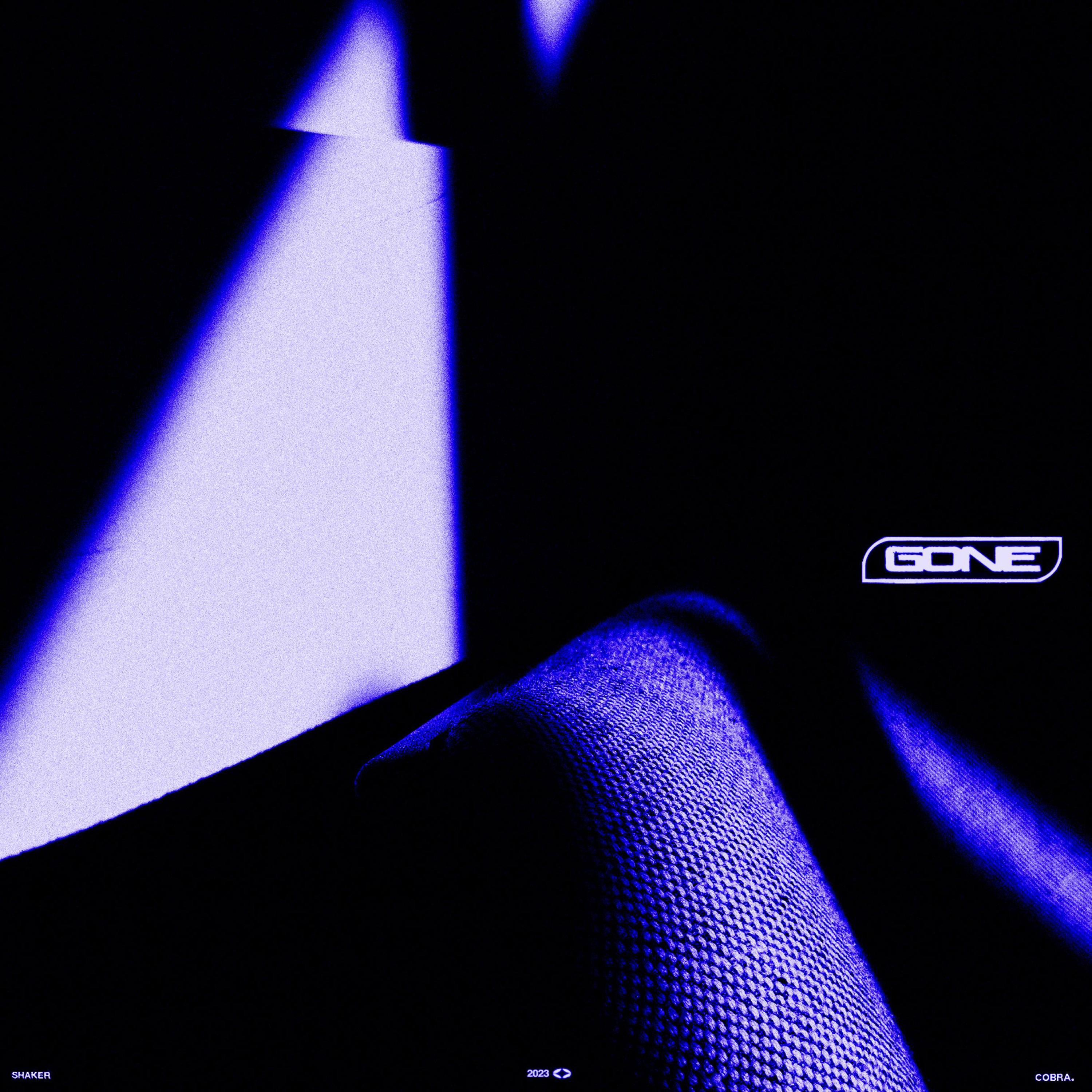 Gone - Single album cover