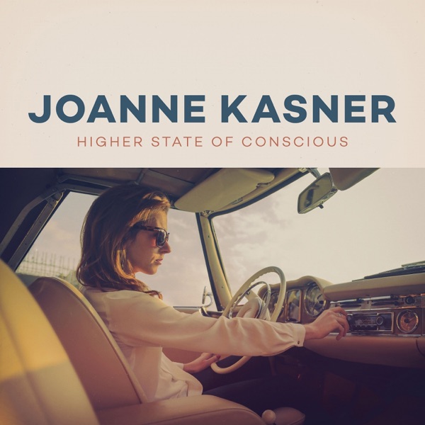 Higher State of Conscious (feat. Henrik Freischlader) album cover