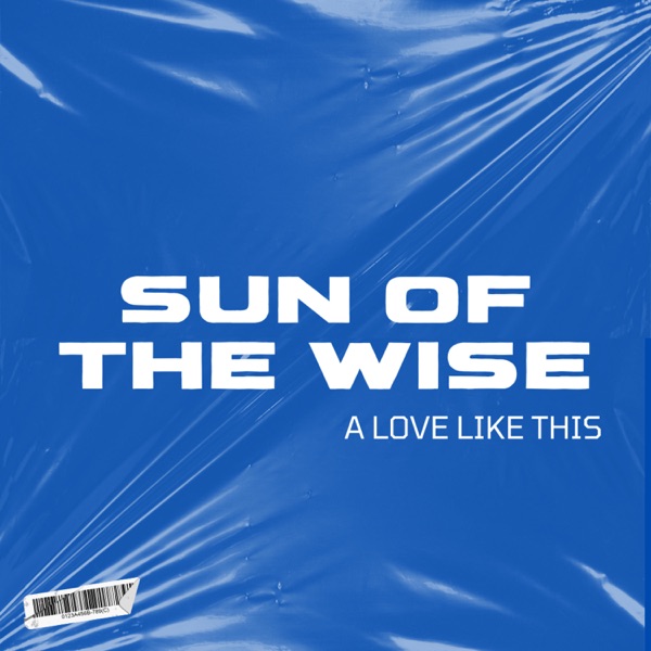 A love like this (feat. Nicole Bus) - Single album cover