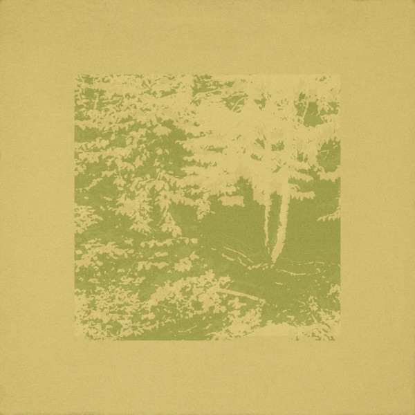 Need Nothing - EP album cover