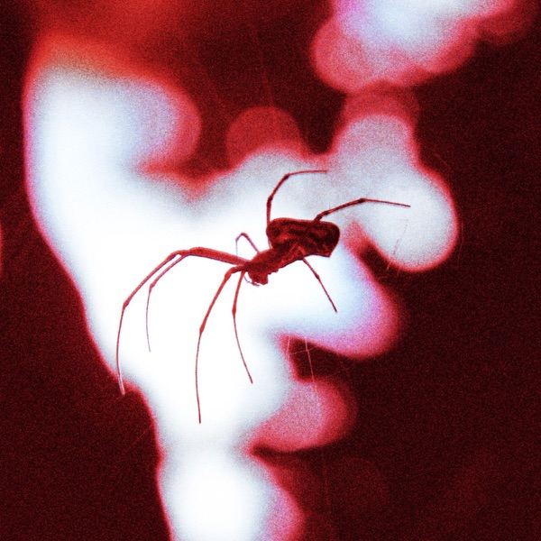 Crawling - Single album cover