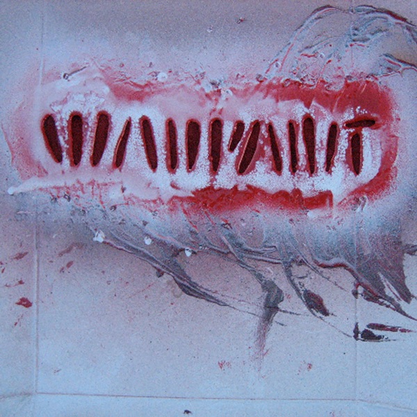 Shadows - Single album cover
