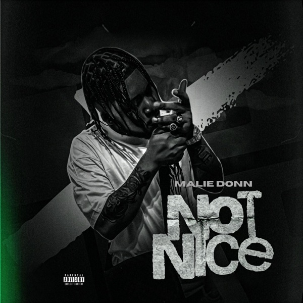 Not Nice - Single album cover